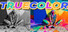 TRUECOLOR