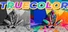 TRUECOLOR