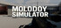 Molodoy Simulator