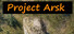 Project Arsk