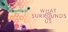 What Surrounds Us