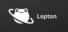 Lepton