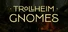 TROLLHEIM: GNOMES
