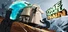 Time Travel Train