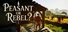 Peasant or Rebel?