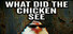 what did the chicken see