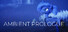Ambient Prologue