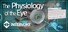 The Physiology of the Eye