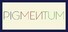 PIGMENTUM