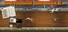 Greyhound Manager 2 Rebooted