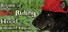 Return of Red Riding Hood Enhanced Edition