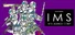 Lucky Pikinini - IMS Intelligence Corp