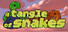 A Tangle of Snakes