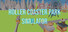 Roller Coaster Park Simulator