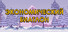 Экономический Биатлон