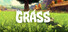 Grass
