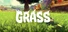 Grass