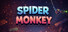 Spider Monkey