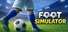 Foot Simulator