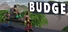 BUDGE