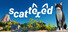 Scattered