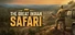 The Great Indian Safari
