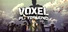 Voxel Playground