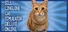 Silly Linguine Cat Simulator Deluxe Online