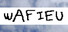 WAFIEU