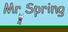 Mr Spring