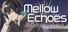 Mellow Echoes:Lo-Fi Moments