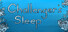 Challenger's Sleep