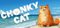 Chonky Cat