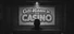 Find Cats in the Casino