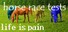 Horse Race Tests: Life is Pain