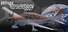 WingsSimulations Flight Simulator 2027