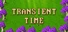 Time Vestige