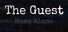 The Guest: Home Alone