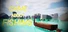 AGameAboutFishing