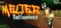 Melter - Bad Experience