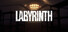 Labyrinth: Veins of the Machine