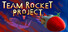 Team Rocket Project