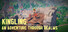 KINGLING: An Adventure Through Realms