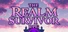 The Realm Survivor RPG