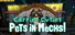 Carrier Cuties - Pets In Mechs!