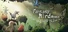 Fantasy Bird Woods