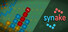 Synake