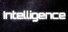 Intelligence