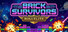 Brick Survivors: Roguelite