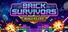 Brick Survivors: Roguelite